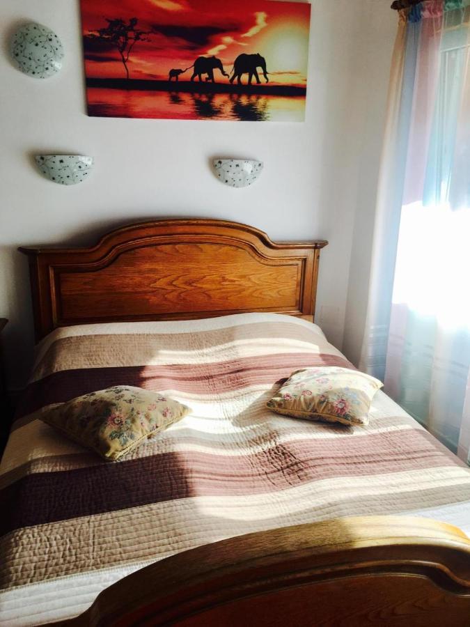 Rolling Stone Hostel